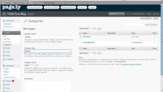 How to Set Up WordPress Categories [upl. by Genie255]