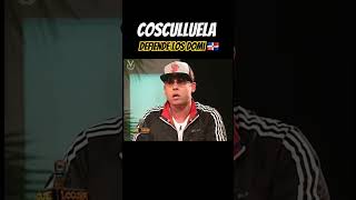 Cosculluela defiende a los dominicanos 🇩🇴💪 orgullodominicano respeto [upl. by Ettevroc45]