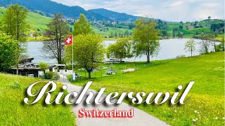 Dreamland Switzerland 4K  Cloudy day in Richterswil  municipality in switzerland [upl. by Sibell]