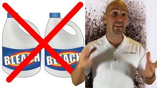 Black Mold  How To Kill Toxic Mold In Under 5 Mins [upl. by Adnirolc]