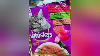 3 Kinds of Pouch Cat food Ks Queen [upl. by Ilatfan]