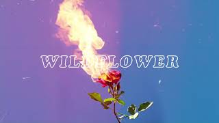 Ida Red  Wildflower Official Audio [upl. by Spatola]