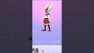 Ohhh yeah 😋 got first ever Cinderace in pokemon go [upl. by Spooner]