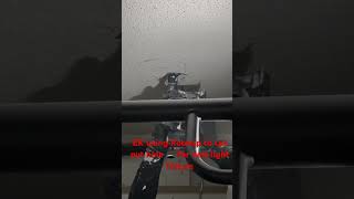 EK using Rotozip to cut out a hole 🕳️ for a new light fixture in homegym tools Rotozip [upl. by Cecilius]