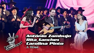 António Zambujo com Carolina Pinto amp Rita Sanches  quotA Rosaquot  Final  The Voice Portugal [upl. by Asfah]