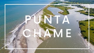 🌿🍀Punta Chame y el Gran Humedal de su Bahía  Ciudadano del Mundo  4K [upl. by Nevil916]