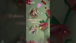 ❤️ the cute song in Hindi song 👌🌹 [upl. by Ahsiruam898]