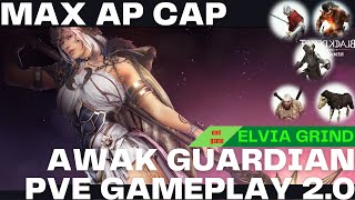 BDO Guardian Awakening PVE Max AP Gameplay in Elvia Server [upl. by Domela]