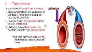 Biology Grade 9 Unit 3 part Eleven [upl. by Cathlene381]