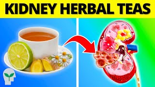 Top 13 BEST Herbal Teas for Kidney Repair  MUST DRINK [upl. by Eatnohs146]