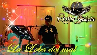 Tecladista de chicago Reyes Garcia tocando Huapangos en vivo contrataciones 773 603 7067 [upl. by Terriss]