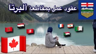 إذا كنت تبحث عن عقد عمل🤔بمقاطعة ألبرتا الكندية🇨🇦 بواسطة الأستاذ أنس… [upl. by Yesac]