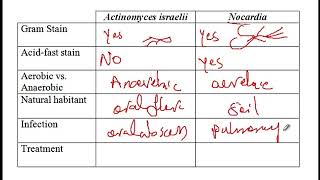 USMLE ACE Video 76 Actinomyces and Nocardia [upl. by Schultz332]