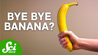 Bananas Are Not What You Think  The Shocking Truth [upl. by Rashidi]