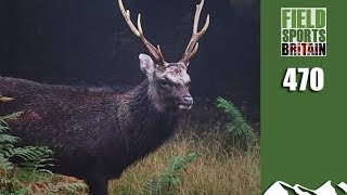 Fieldsports Britain  Stag Stalking Special [upl. by Boyce]