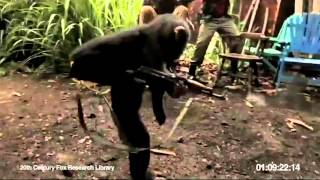 Monkey shooting AK47 Between Soldiers in Africa [upl. by Salb122]