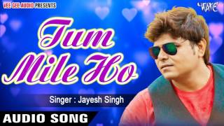 Latest Hindi Song 2017  Tum Mile Ho  तुम मिले हो  Dil Laga Liya  Jayesh Singh  Hindi Sad Songs [upl. by Bush378]