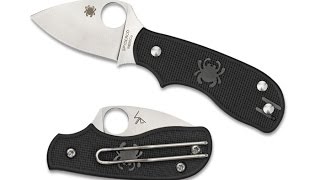 Трофей из Нидерландов  SPYDERCO SQUEAK [upl. by Ennovy]