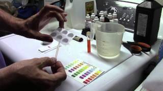 Comparing API and Seachem Nitrate Test Kits [upl. by Charteris206]