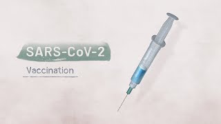 Biology of SARSCoV2 Vaccination  HHMI BioInteractive Video [upl. by Hajin772]