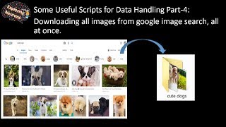 Downloading all images from google image search all at once [upl. by Irby243]