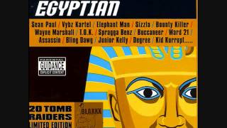 Egyptian Riddim Mix 2003 By DJWOLFPAK [upl. by Melvina]