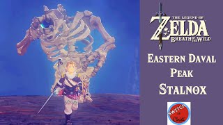 Eastern Daval Peak Stalnox  Breath of the Wild [upl. by Aihsi]