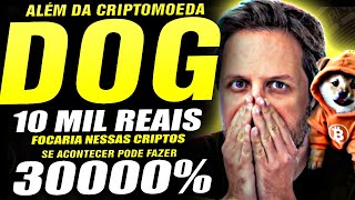 🚨COM 10 MIL REAIS FOCARIA NESSAS CRIPTOMOEDAS ALÉM DA CRIPTOMOEDA DOG GO TO THE MOON AUGUSTO BACKES [upl. by Ruon]