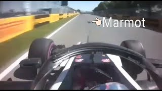 Crash of Romain Grosjean with a marmot before the last turn in FP2 [upl. by Lisabet]