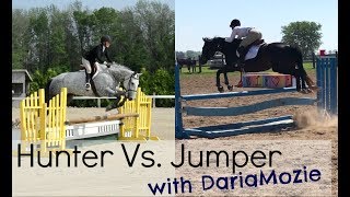 Hunter Vs Jumper  Riding Style amp Rules [upl. by Zerdna]