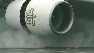 Reverse thrust  up close and personal [upl. by Hughett]