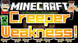 Minecraft CREEPERS Fear OCELOTS  Creeper Weakness  Scared of Cats [upl. by Nica907]