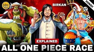 Every Tribes and Races Explained in One Piece [upl. by Llerryt]