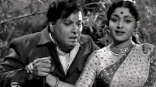 MGR Saroja Devi  Thayai Katha Thanayan Tamil Movie Scene [upl. by Watters]