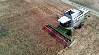 Weizenernte in Rheinhessen mit Claas Lexion 550 Case und Fendt Aufnahme mit Potensic Atom [upl. by Torrin13]