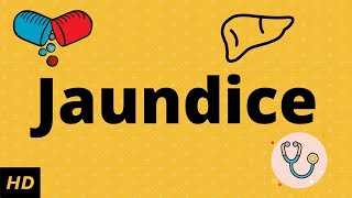 What is JaundiceCauses Signs and symptoms Diagnosis and treatment [upl. by Estella617]