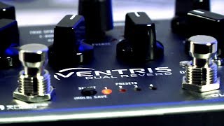 Spring Reverb Pedal Ventris Dual Reverb [upl. by Wasserman44]