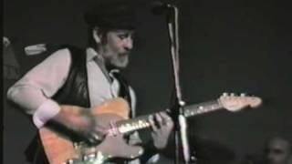 Roy Buchanan  Honky Tonk [upl. by Andromache]