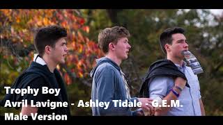 Trophy Boy  Avril Lavigne Ashley Tisdale amp GEM  Male Version  Cover Masculino [upl. by Samp]