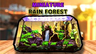 How I Create a tiny jungle ecosystem  Rainforest [upl. by Ahsinaj496]