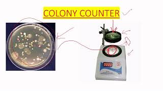 COLONY COUNTER USE IN MICROBIOLOGY LAB IN ENGLISH [upl. by Gairc720]