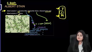 Microbiology RR  Part1  Dr Preeti Maam  FMGE NEETPG [upl. by Elesig]