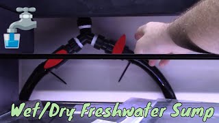 Freshwater Sump Setup for Two 75 Gallon Aquariums [upl. by Carlyn]