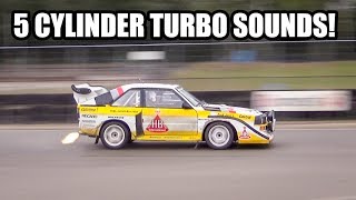 560hp Audi S1E2 Audi A2 Rally amp Audi Sport Quattro Group B in action [upl. by Rois]