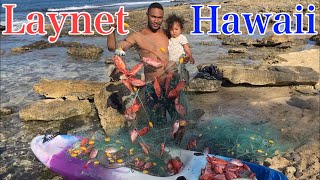 【続】釣った魚をビーチで食べるlaynet Hawaii menpachi [upl. by Xuaegram]