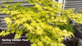 Spring Garden Stroll  Japanese Maples [upl. by Leede]