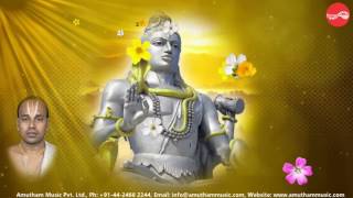 Purusha Sukutham  Veda Gosham Sri Rudram  Malola Kannan Full Verson [upl. by Sidoney]