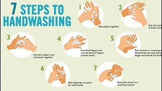 7 Step Hand Wash Hygiene [upl. by Ellenahc]