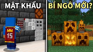 28 Thứ ĐIÊN RỒ Bạn Có Thể Xây Dựng Trong Minecraft [upl. by Lareine142]