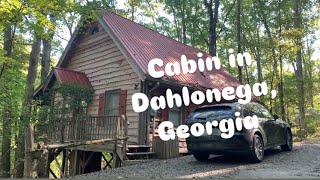 Cabin and Woods in Dahlonega Georgia [upl. by Hilly854]